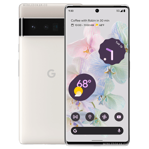 Google Pixel 6 Pro